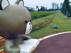 -迪茵湖田家舍生态农场