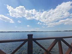 -丁香湖公园