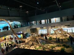 -自贡恐龙博物馆