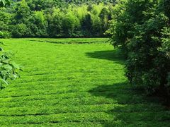 -敬亭山风景名胜区