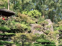-南山植物园