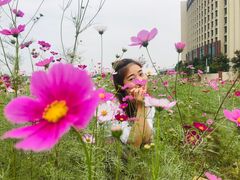 -南京医科大学(江宁校区)