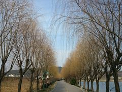 android_upload_pic-三山岛