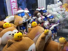 -天天玩X秋葉原日系动漫游戏中心