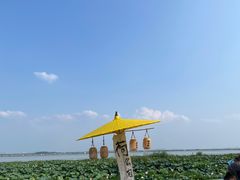 -七的湖·晚芳亭·阳澄湖农家菜·大闸蟹(莲花岛店)