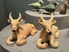 -广西壮族自治区博物馆