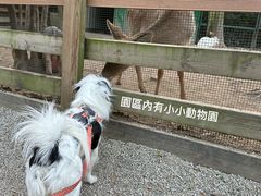 -广州锦绣香江度假别墅