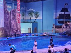 -华夏文旅海洋公园