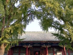 景点-恭王府博物馆