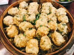 崩蒸手打肉丸-园林美食城·本土农家菜(杨和镇店)