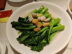 上汤浸菜心-東海海鲜酒家(中信广场店)