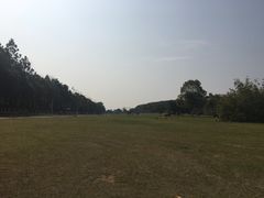 -艾溪湖湿地公园