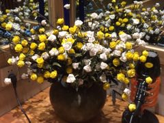 -沐泷泉(南风大剧院店)