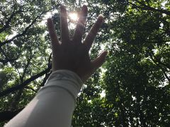 -火炉山森林公园