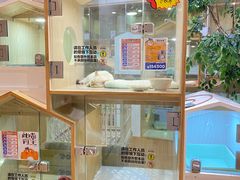 -屋虎猫馆(宝安大仟里店)
