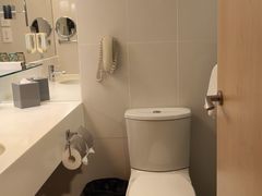 -香港皇家太平洋酒店