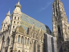 -斯蒂芬主教座堂(Stephansdom)