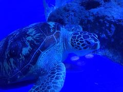 -成都浩海立方海洋公园