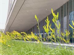 -内蒙古美术馆