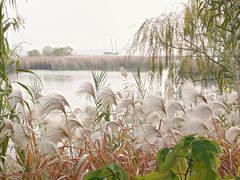 -苏州太湖国际会议中心