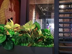 -探炉·香辣豆花烤鱼(雄峰城店)