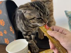 -美联众合动物医院·24h京西诊疗中心