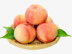 -百果园PAGODA(法华镇路店)