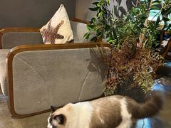 -咖法森林·咖啡  酒吧(天河店)