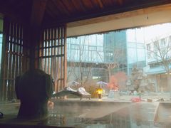 -中家鑫园温泉酒店鑫悦汤泉