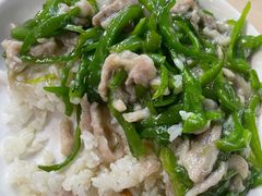 青椒肉丝-玉华饮食店(茅台路店)