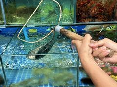 -牟记江湖重庆地标特色菜鱼蛋海鲜无刺鲫鱼(巴南区黑金冠十多年好店)