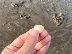 -东海半边山旅游度假区