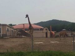 -哈尔滨北方森林动物园