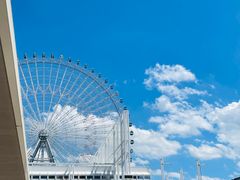 -大阪海游馆