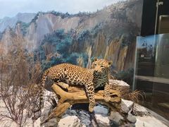 -陕西自然博物馆