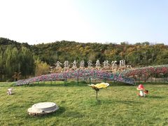 -金龙寺国家森林公园
