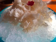 绣球菌-宝泉铜锅(高新店)