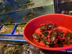 -辉记炭烧海鲜大排档·老字号(福田店)