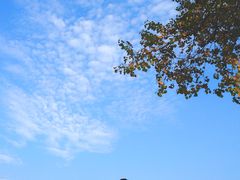 -金银湖国家城市湿地公园