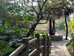 -金山公园