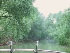 -大湾区中央湿地公园