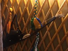 -大汗行宫园林餐厅