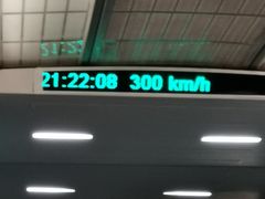 -龙阳路磁悬浮列车总站-停车场