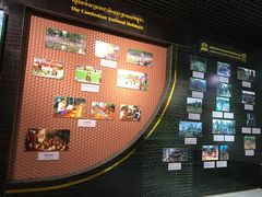 -吴哥国家博物馆