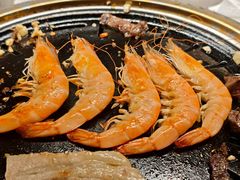 -杨小佳·齐齐哈尔烤肉·烤串(广州店)