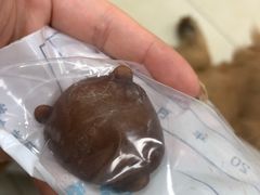 -宠福鑫康馨动物医院·骨科·眼科