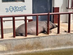 -青藏高原野生动物园