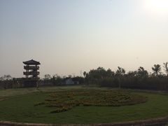 -杭州湾海上花田景区