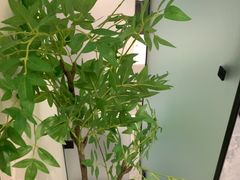 -成都ins星空塔酒店(春熙路天府广场店)