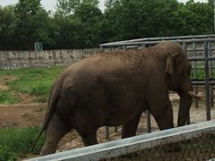 -西安秦岭野生动物园